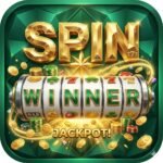 spin winner
